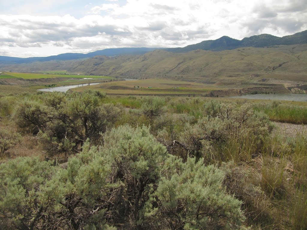 Juniper Beach Provincial Park | BC-1, Walhachin, BC V0K 2P0, Canada | Phone: (250) 320-9305