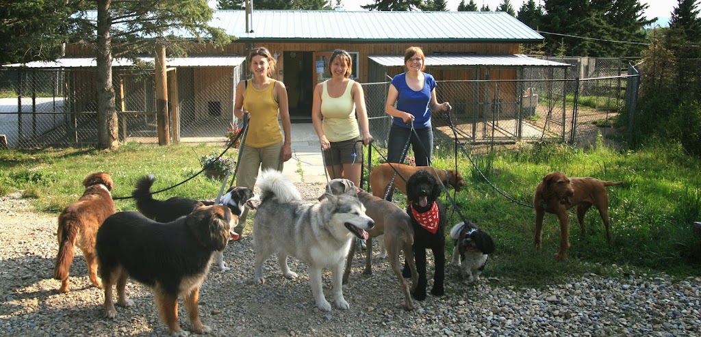 Happytails Pet Retreat | Cochrane, AB T4C 1A7, Canada | Phone: (403) 851-2050