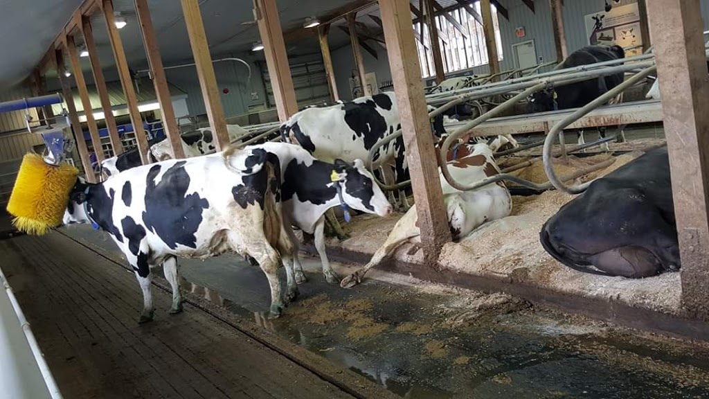 EcoDairy | 1356 Sumas Way, Abbotsford, BC V2S 8R1, Canada | Phone: (604) 557-5481