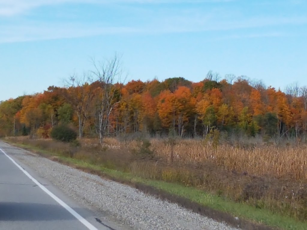 Herns Sand & Gravel | 22358 Highway # 7, Maberly, ON K0H 2B0, Canada | Phone: (613) 268-2059