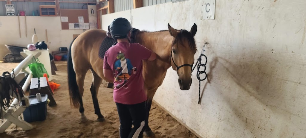 Classical Equitation | Rd 13E, Fraserwood, MB R0C 1A0, Canada | Phone: (204) 641-4268