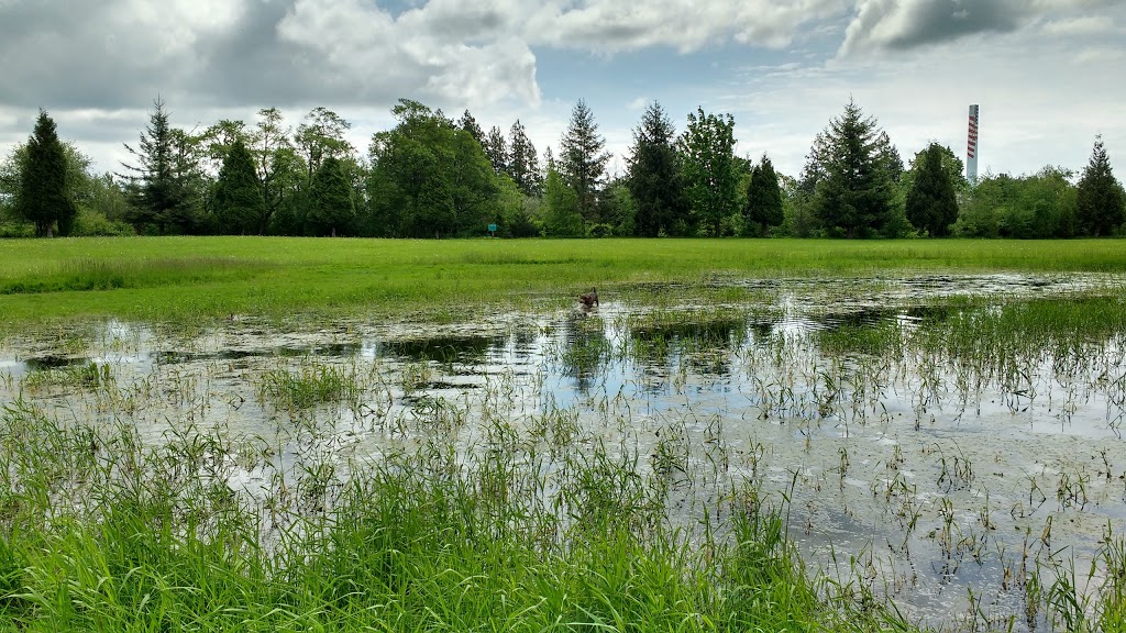 VanderYacht Park | 1945 Washington St, Ferndale, WA 98248, USA