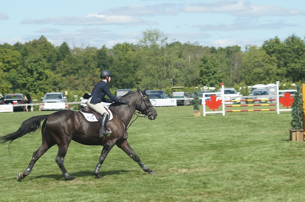 Angelstone Tournaments | 8720 Wellington County Rd 50, Rockwood, ON N0B 2K0, Canada | Phone: (888) 880-2425
