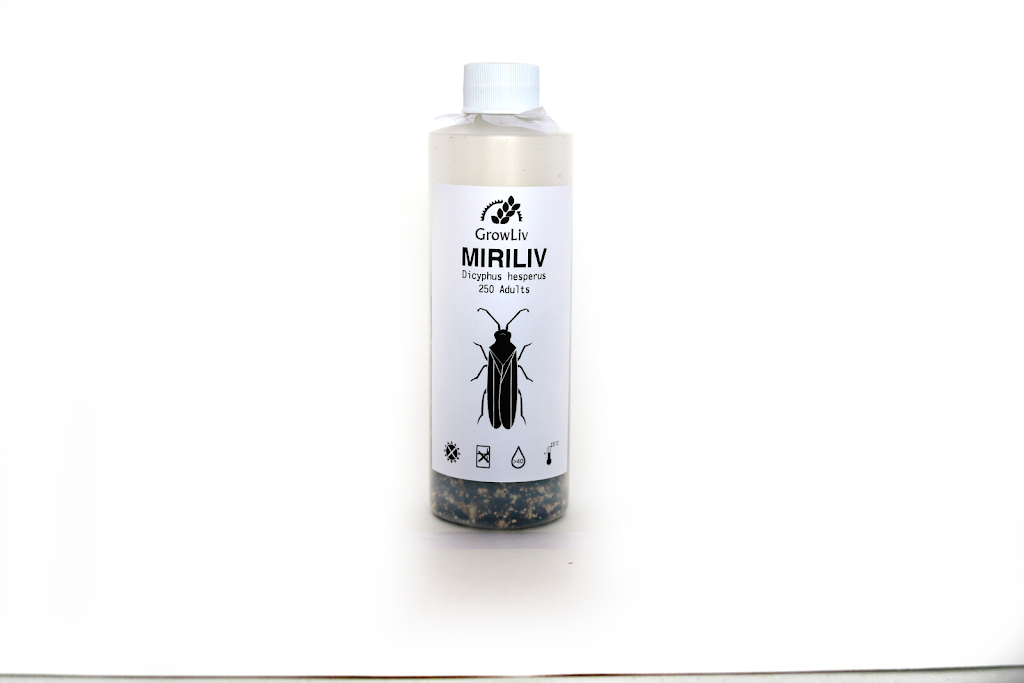GrowLiv Biologicals - Beneficial Insect Breeder | 3665 Concession Rd 3 N, Amherstburg, ON N9V 2Y9, Canada | Phone: (519) 992-3547