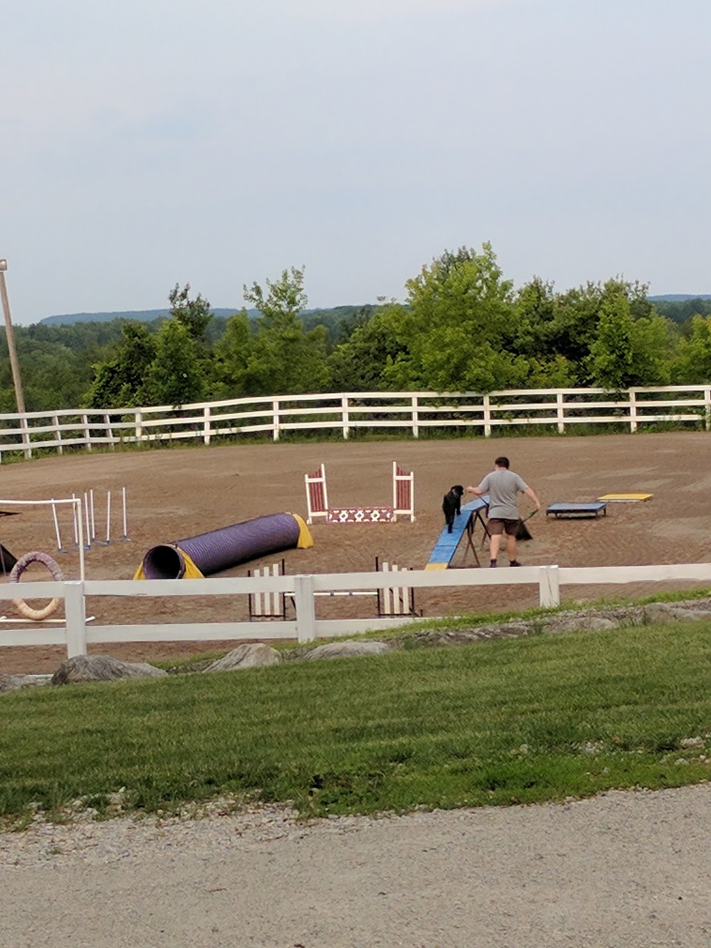 Canine Academy | 10463 Guelph Line, Campbellville, ON L0P 1B0, Canada | Phone: (905) 854-1292