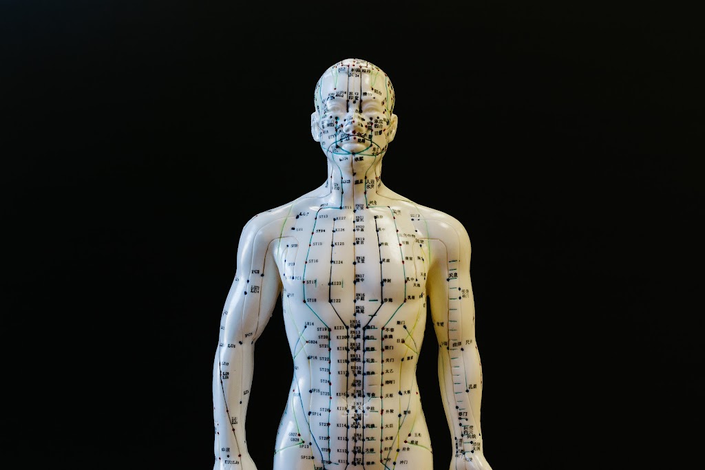 Dr. Wesley Michaud- Chiropractor, Acupuncture, Massage Therapy | 221 Main St, Sussex, NB E4E 0M3, Canada | Phone: (506) 567-2852