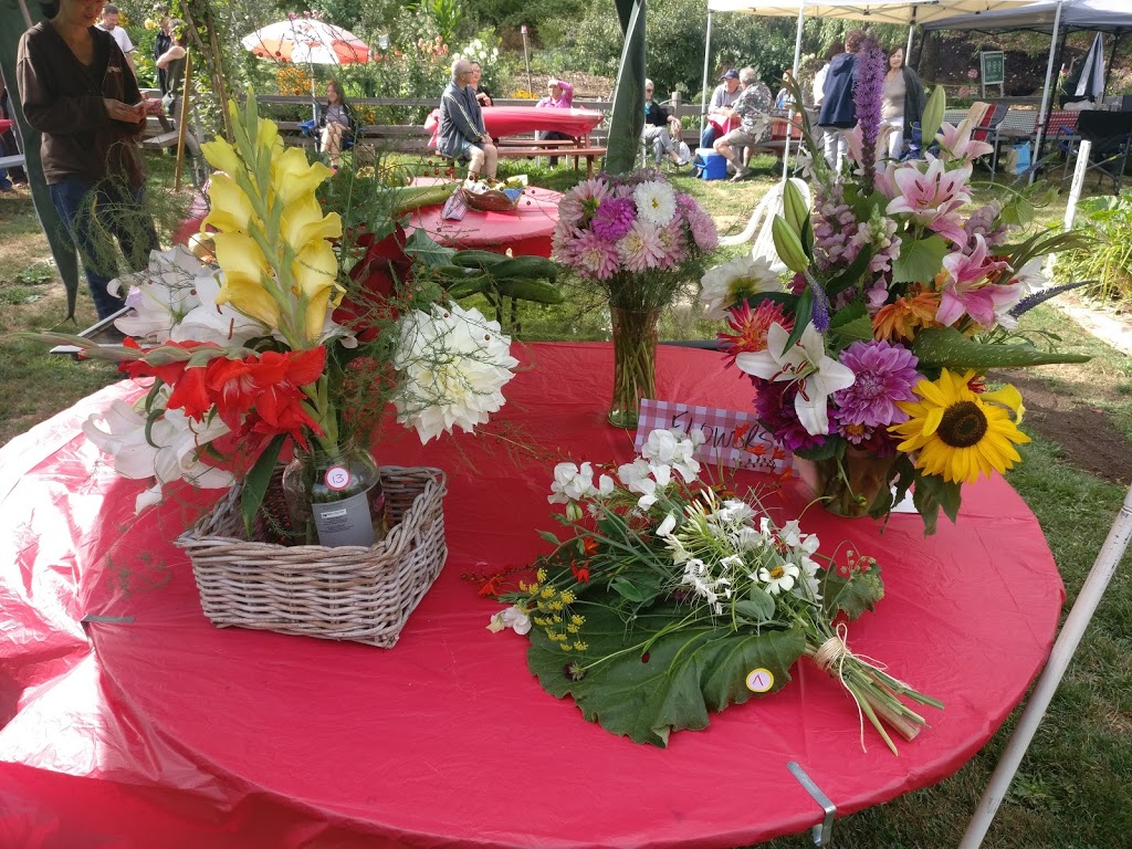 Community Garden | 6012-7528 Meadow Ave, Burnaby, BC V3N 1Y6, Canada