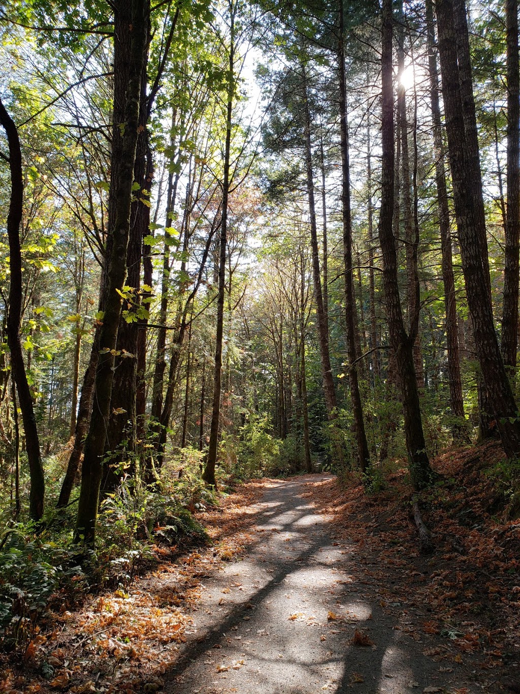 Havenwood Park | Colwood, BC V9C, Canada | Phone: (250) 478-5999