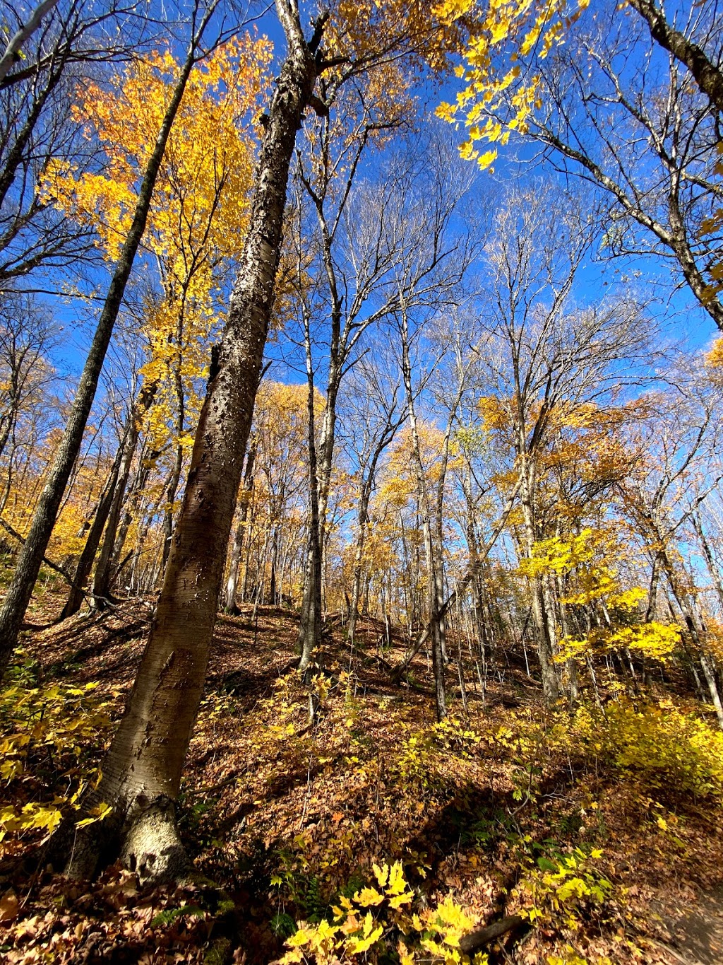 Stubbs Falls Trail | Unnamed Road, Huntsville, ON P1H 2J4, Canada | Phone: (705) 789-5105