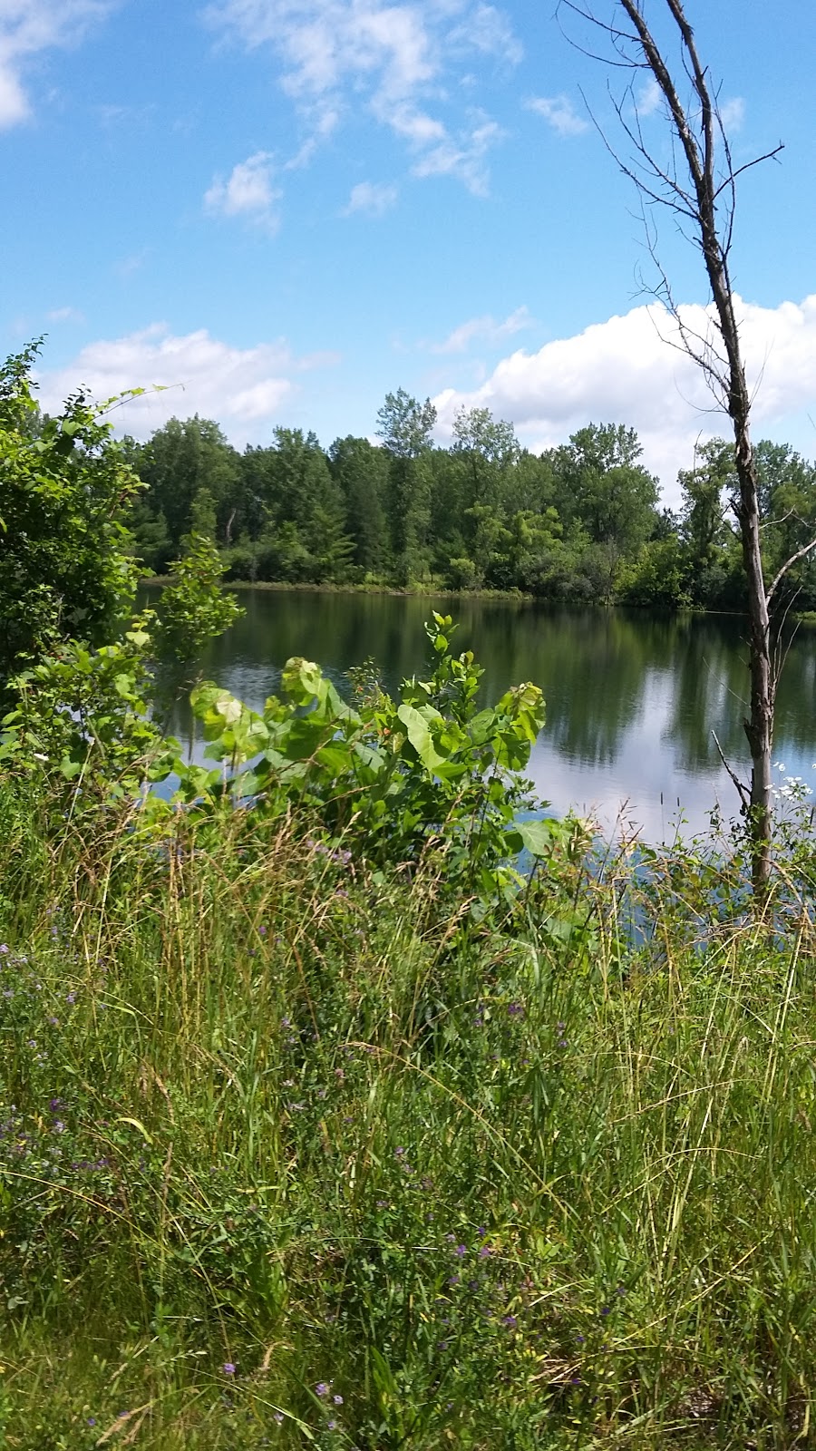 Lacs Fauvel | Plan-Bouchard, Blainville, QC J0N 1H0, Canada