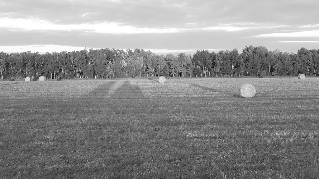 Back To Your Roots Soil Solutions Inc | Shellbrook, SK S0J 2E0, Canada | Phone: (306) 747-4744