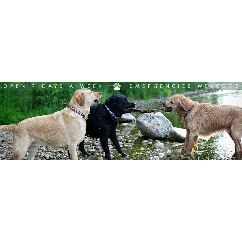 Gateway Pet Hospital Kitchener | 4391 King St E, Kitchener, ON N2P 2G1, Canada | Phone: (519) 653-1003