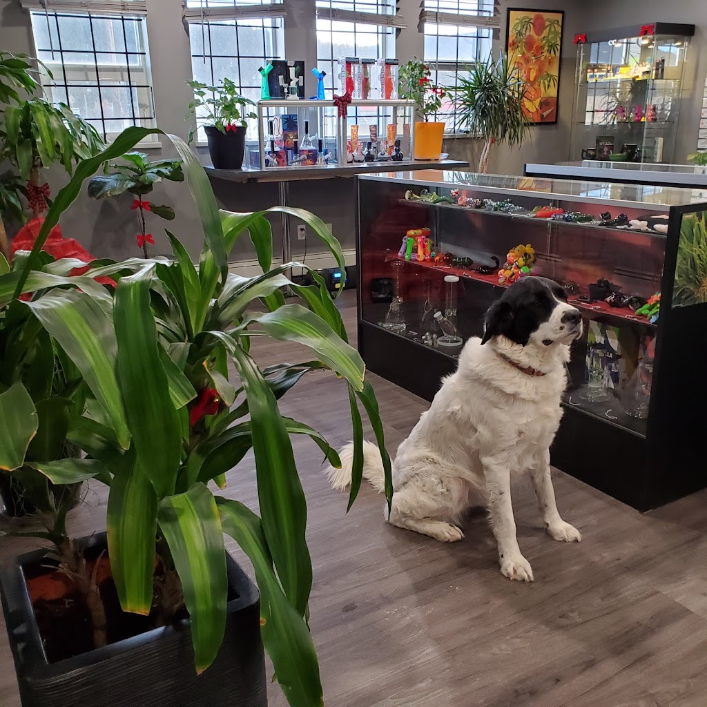 Cynders Inc | 1300 Cariboo Hwy, Clinton, BC V0K 1K0, Canada | Phone: (250) 459-2006