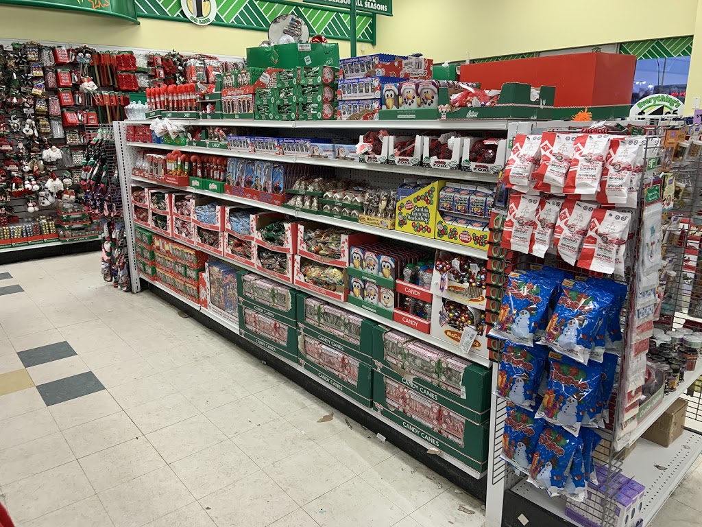 Dollar Tree | 2717 Avonhurst Dr, Regina, SK S4R 3J3, Canada | Phone: (306) 543-0033