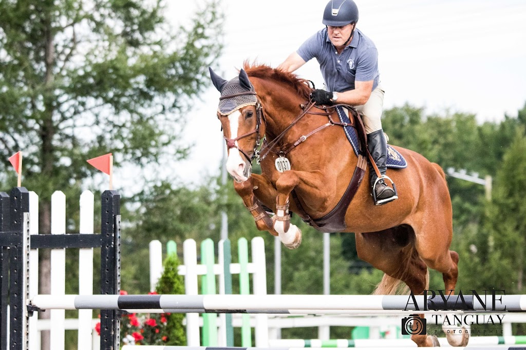 Deerfield Equestrian Farm | 4148 Larry Robinson Rd, Russell, ON K4R 0J8, Canada | Phone: (613) 821-0426