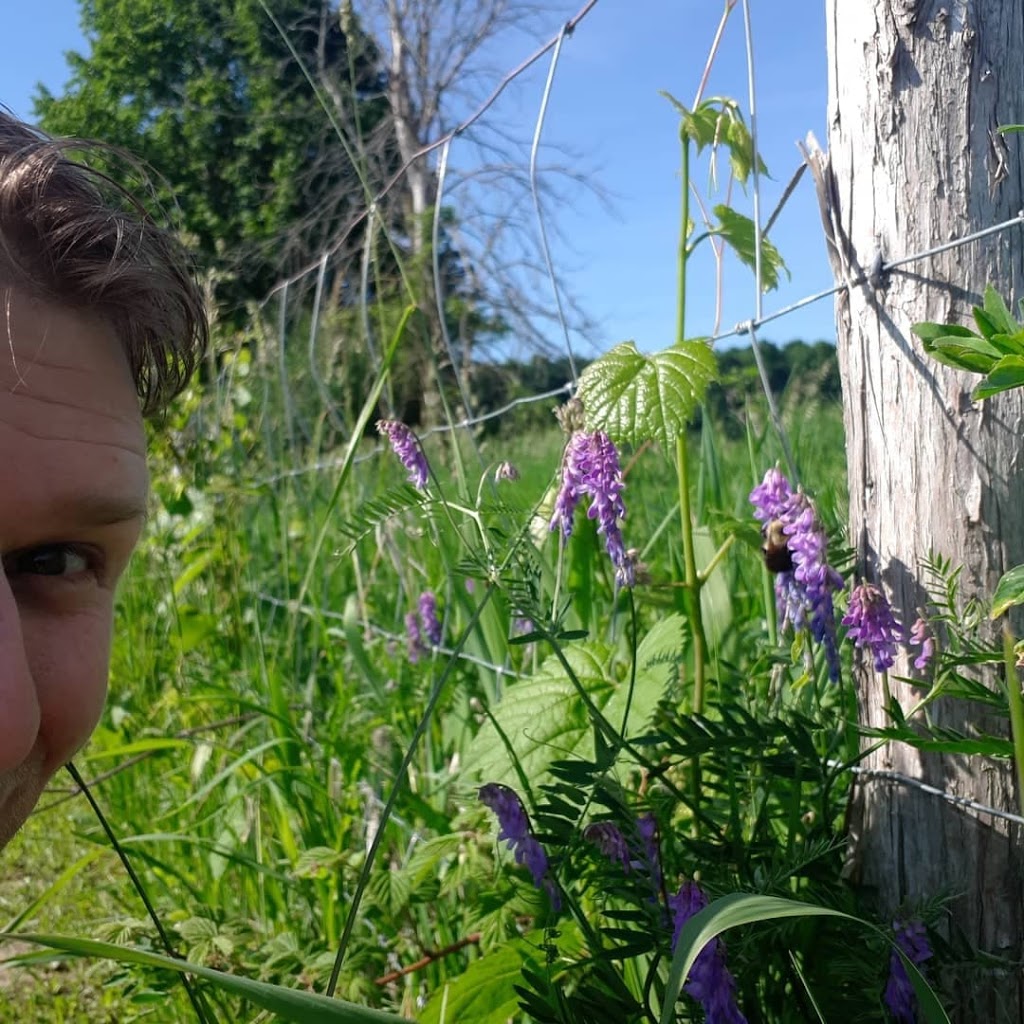 Treefall Bee Yards | 112326 Grey Road 3, Neustadt, ON N0G 2M0, Canada | Phone: (647) 390-2053