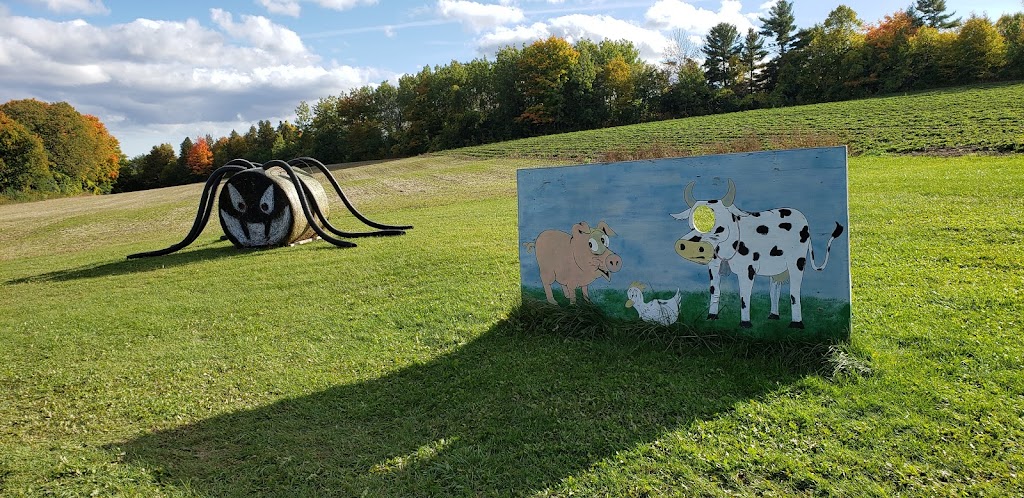 Johnstons Farm Market | 10704 Northumberland County Rd 28, Bailieboro, ON K0L 1B0, Canada | Phone: (705) 939-1737