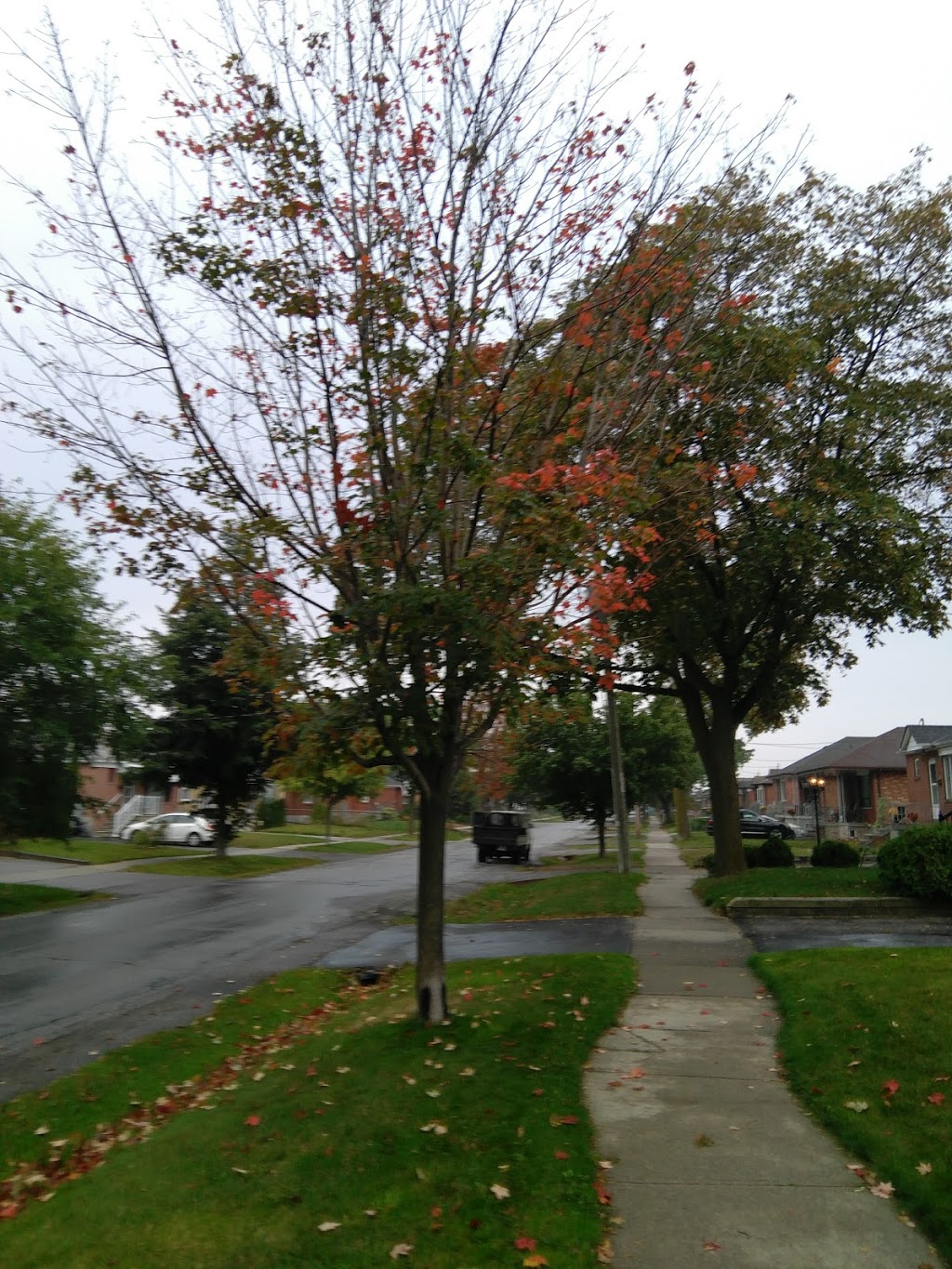 Queensway Park | 8 Avon Park Dr, Etobicoke, ON M8Z 3X4, Canada