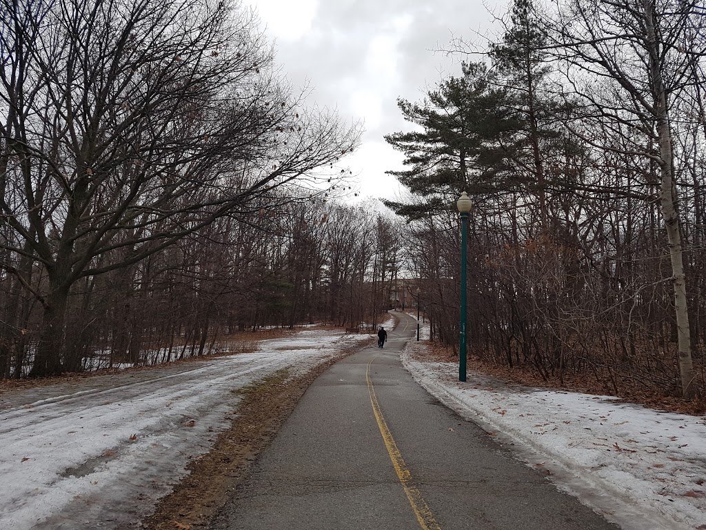 St. Vincent Park | 2-4 St Vincent St, Barrie, ON L4M 3Y2, Canada