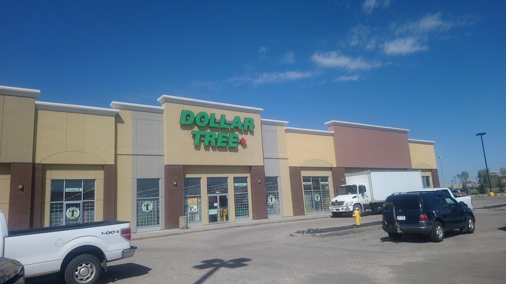 Dollar Tree | 18465 Stony Plain Rd, Edmonton, AB T5S 2V9, Canada | Phone: (780) 443-1500