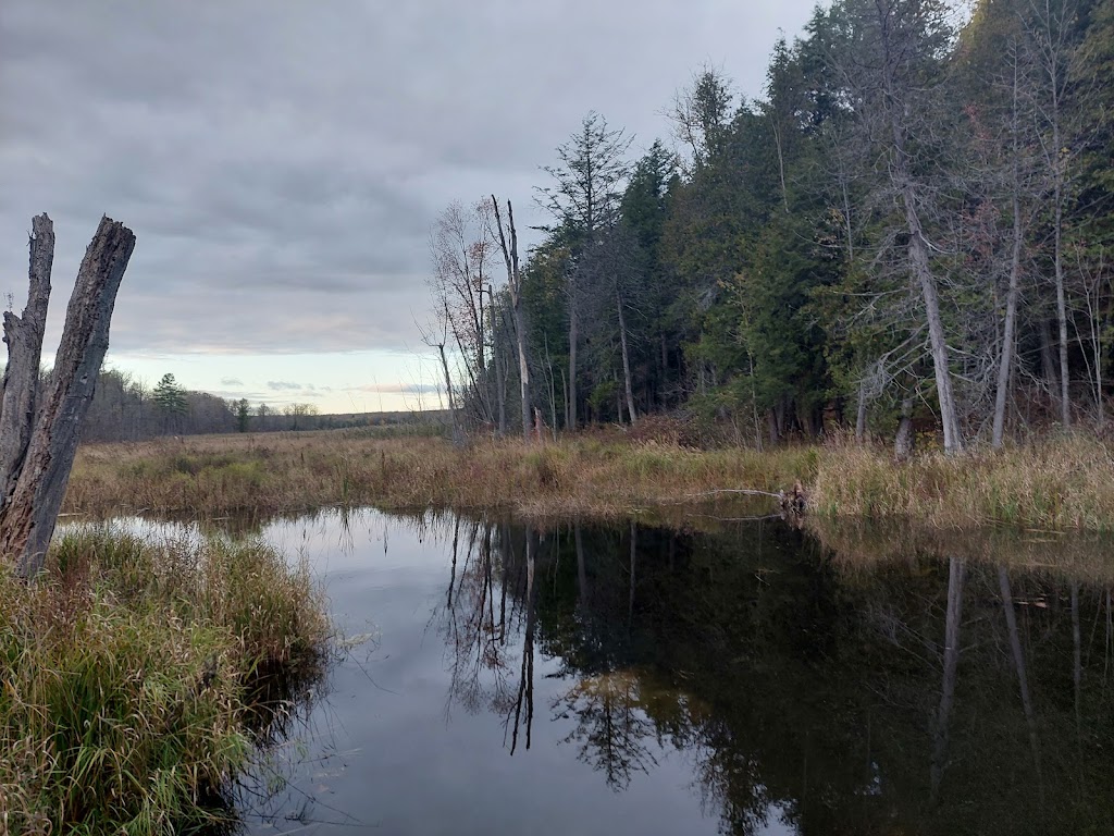 Great Canadian Campgrounds | 178 KOA Campground Rd, Marmora, ON K0K 2M0, Canada | Phone: (613) 472-5636