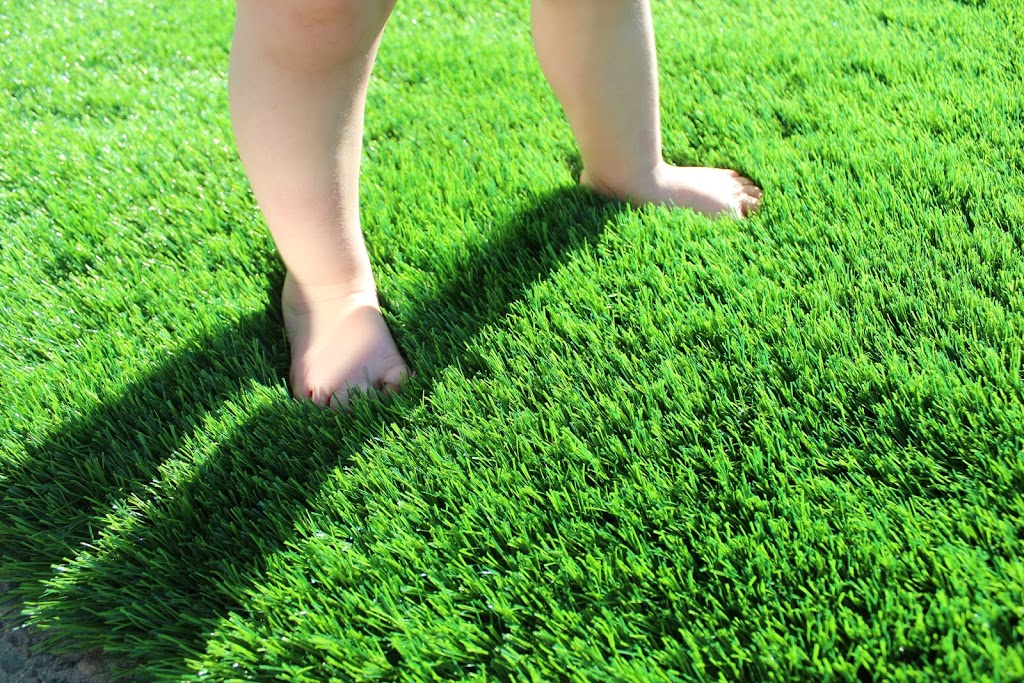 Premium Grass Blades | 20285 Stewart Crescent Unit 102, Maple Ridge, BC V2X 8G1, Canada | Phone: (604) 757-2899