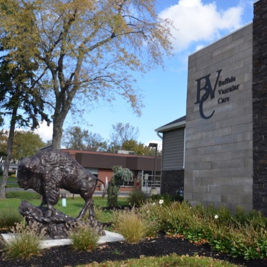 Vascular Interventional Associates at Buffalo Vascular Care | 6337 Transit Rd, Depew, NY 14043, USA | Phone: (716) 852-1977