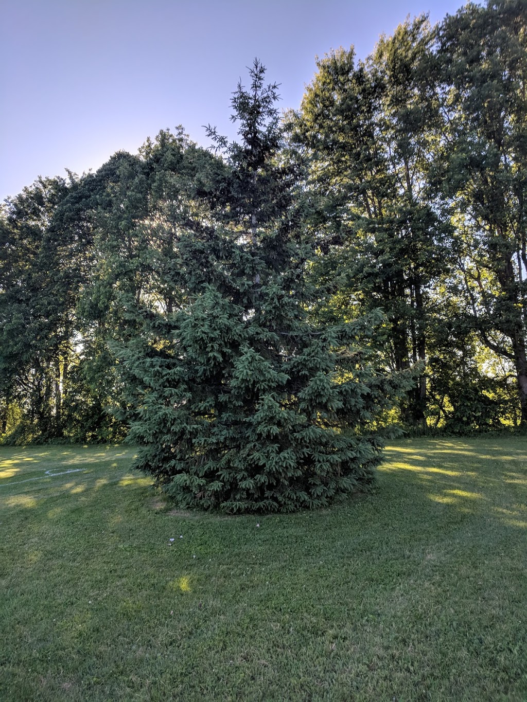 Richmond Lions Community Park | 3200-3344 Regional Road 5, Richmond, ON K0A 2Z0, Canada