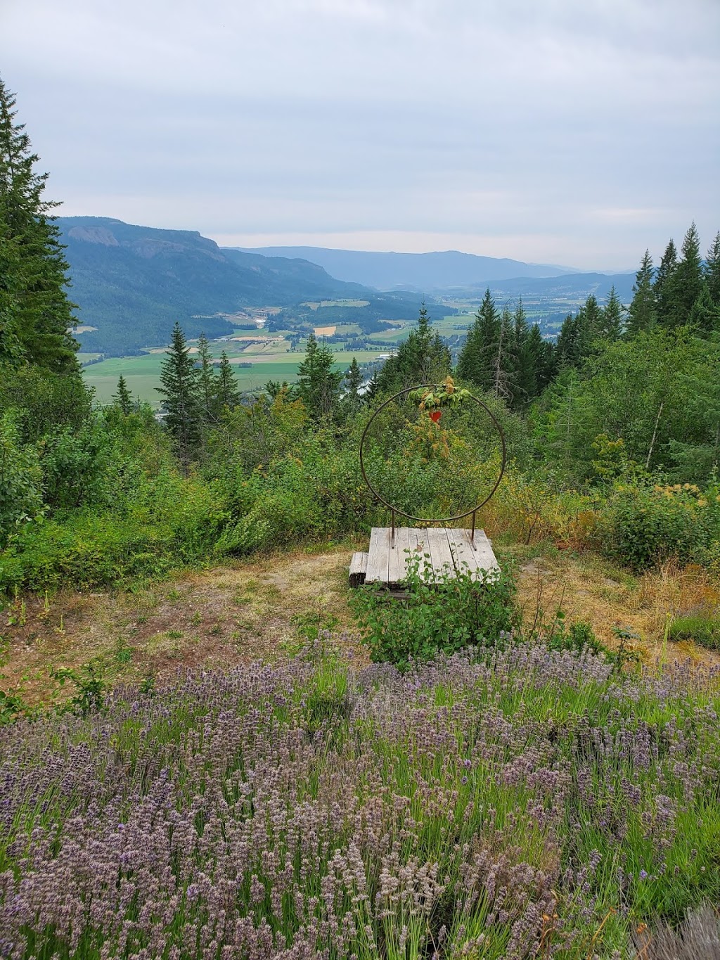 Lavender House | 168 Larch Hills Forest service Rd, Mara, BC V0E 2K0, Canada | Phone: (250) 804-3314