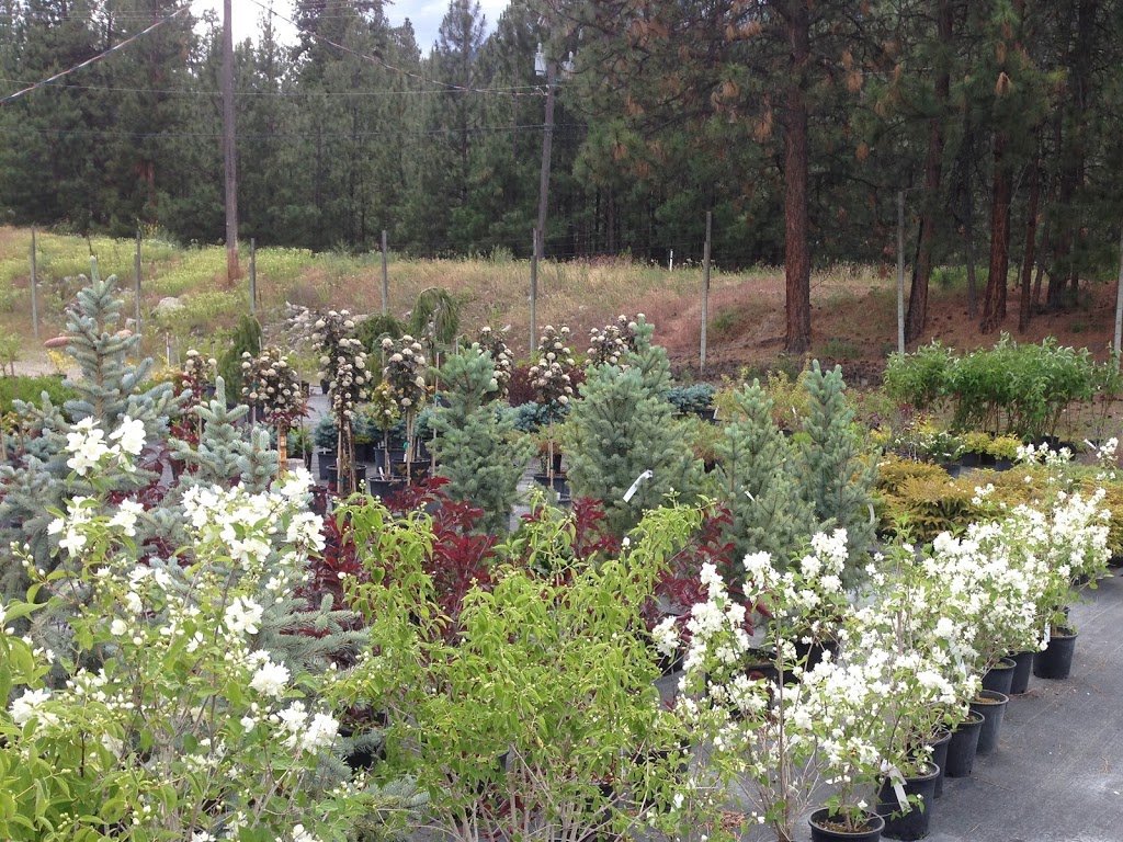 Stones Throw Nursery Inc. | 2346 Sun Valley Way, Okanagan Falls, BC V0H 1R2, Canada | Phone: (250) 497-5641
