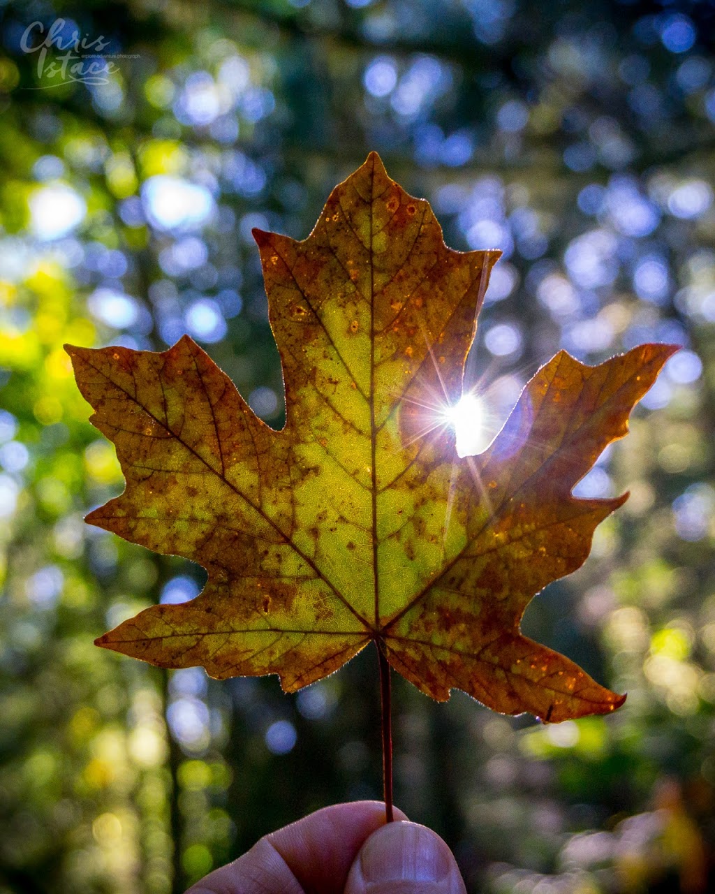 Stocking Creek Park | 2A7, Trans Canada Trail, Ladysmith, BC V9G 2A4, Canada