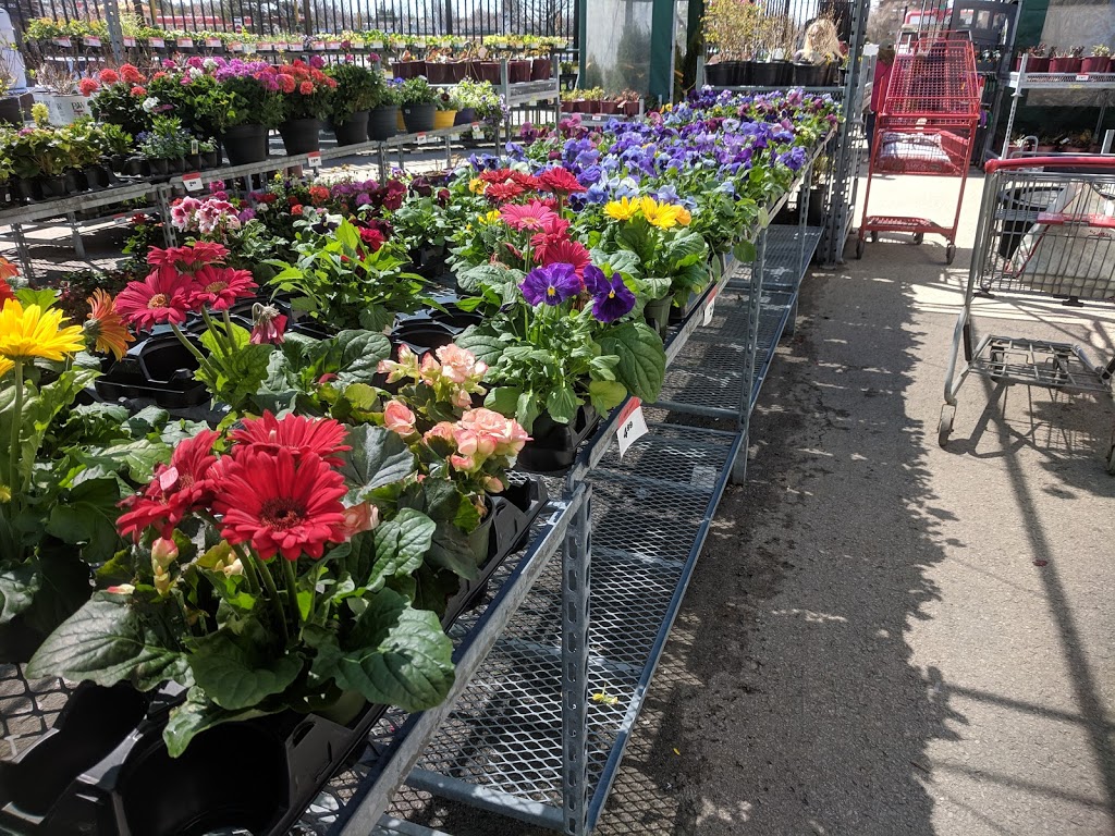 Canadian Tire - Hamilton Mt.West, ON | 777 Upper James St, Hamilton, ON L9C 3A1, Canada | Phone: (905) 385-3276