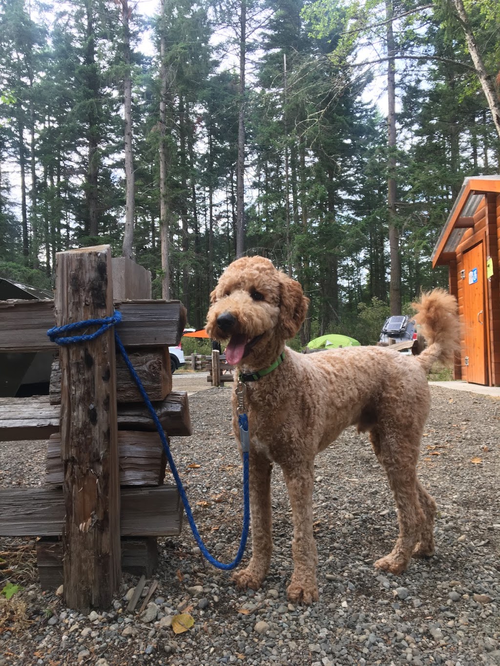 Rathtrevor Beach Campground | 1240 Rath Rd, Parksville, BC V9P 2E2, Canada | Phone: (250) 474-1336
