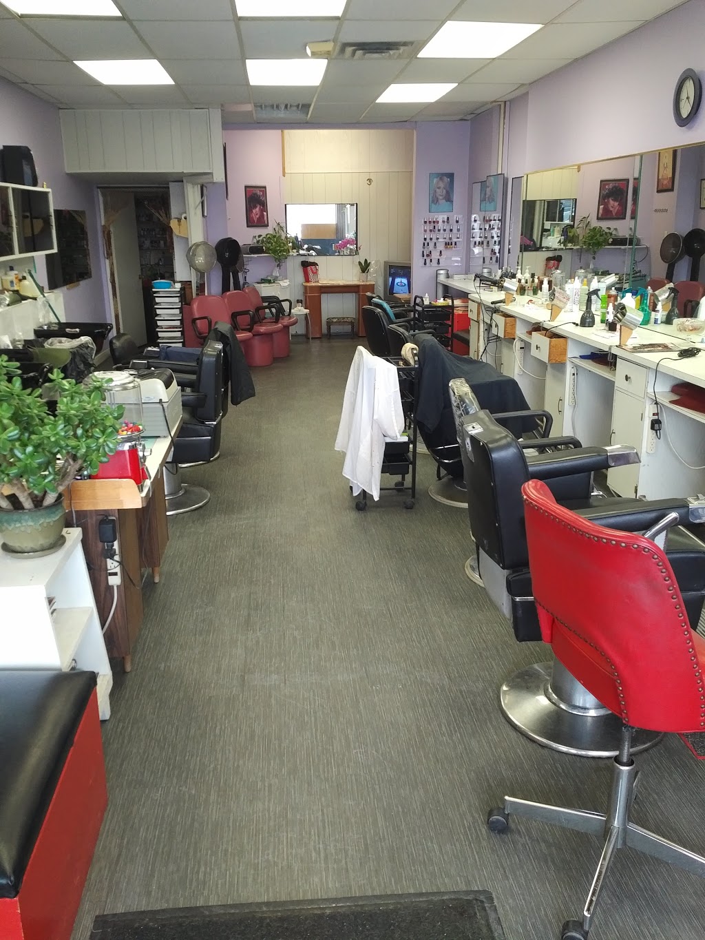 Modeify...hair | 2410 Kingston Rd, Scarborough, ON M1N 1V2, Canada | Phone: (416) 261-3574