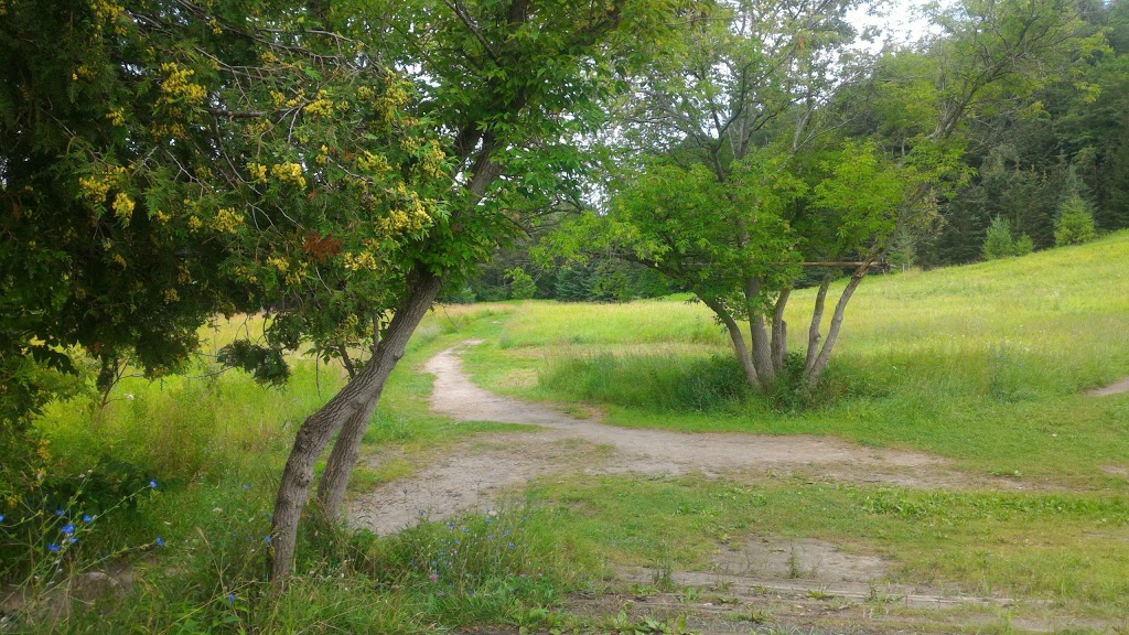 Bob Hunter Park | 113 Grand River Blvd, Scarborough, ON M1B 1G4, Canada