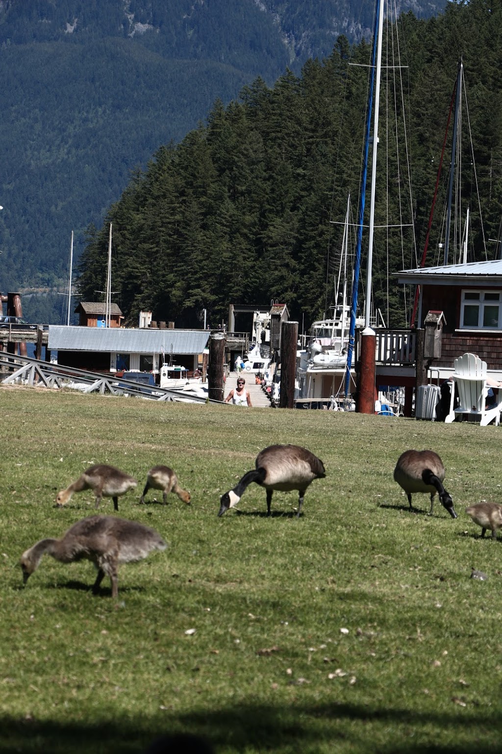 Bowen Island Marina & The Pier | 400 Bowen Island Trunk Rd, Bowen Island, BC V0N 1G0, Canada | Phone: (604) 947-9710