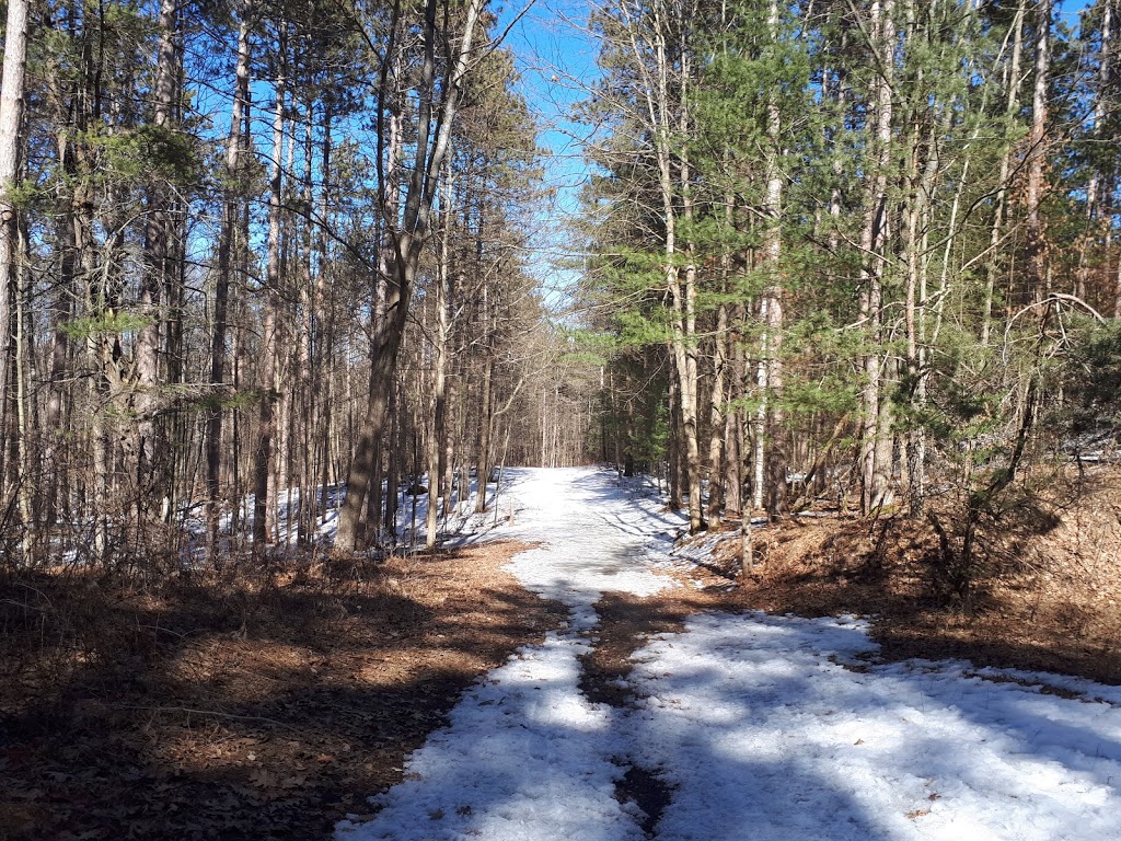 Durham Regional Forest | Concession Rd 7, Uxbridge, ON L9P 1R4, Canada | Phone: (905) 852-0095