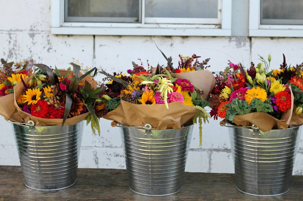 Wendalane Farms | 5998 Canborough Rd, Wellandport, ON L0R 2J0, Canada | Phone: (905) 386-0364