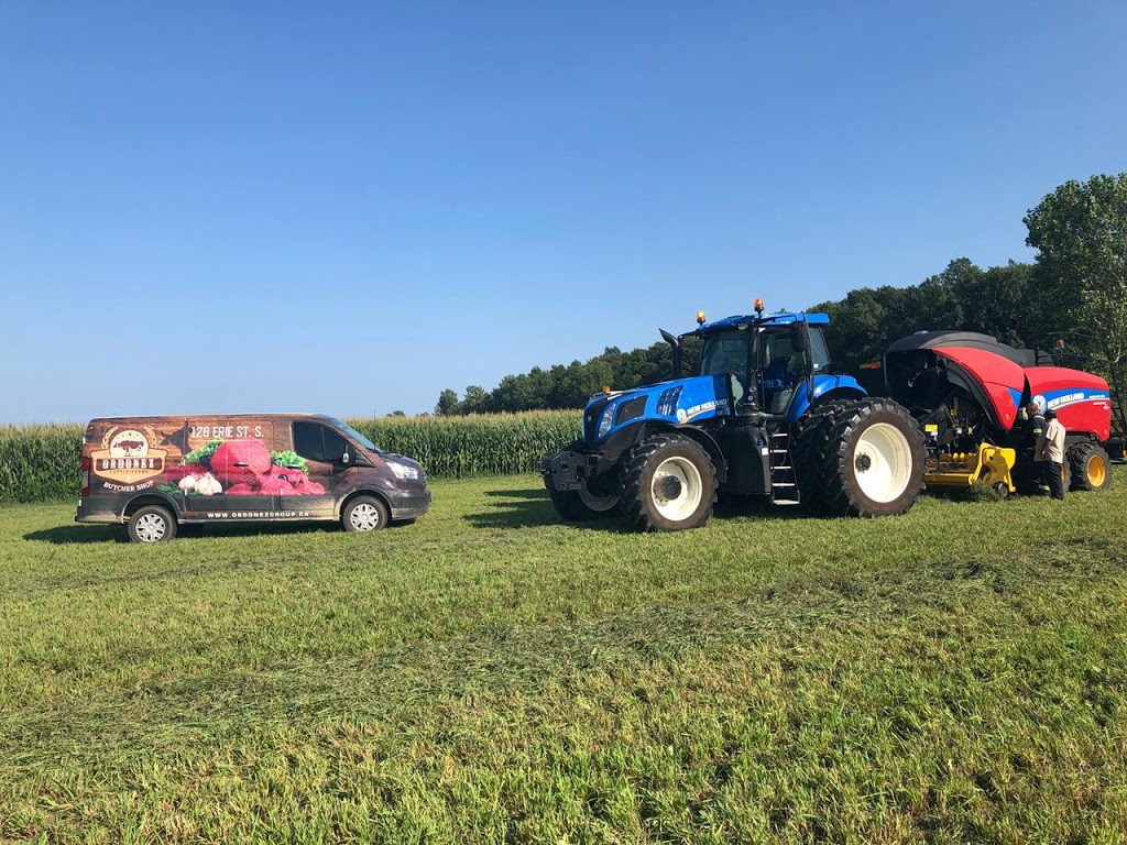 Ordonez Cattle Farms | 501 Mersea Road 5, Leamington, ON N8H 3V5, Canada | Phone: (519) 322-0849