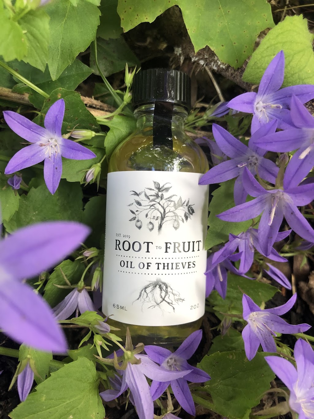 Root to Fruit | 15 Alice St W, Thornbury, ON N0H 2P0, Canada | Phone: (705) 607-9777