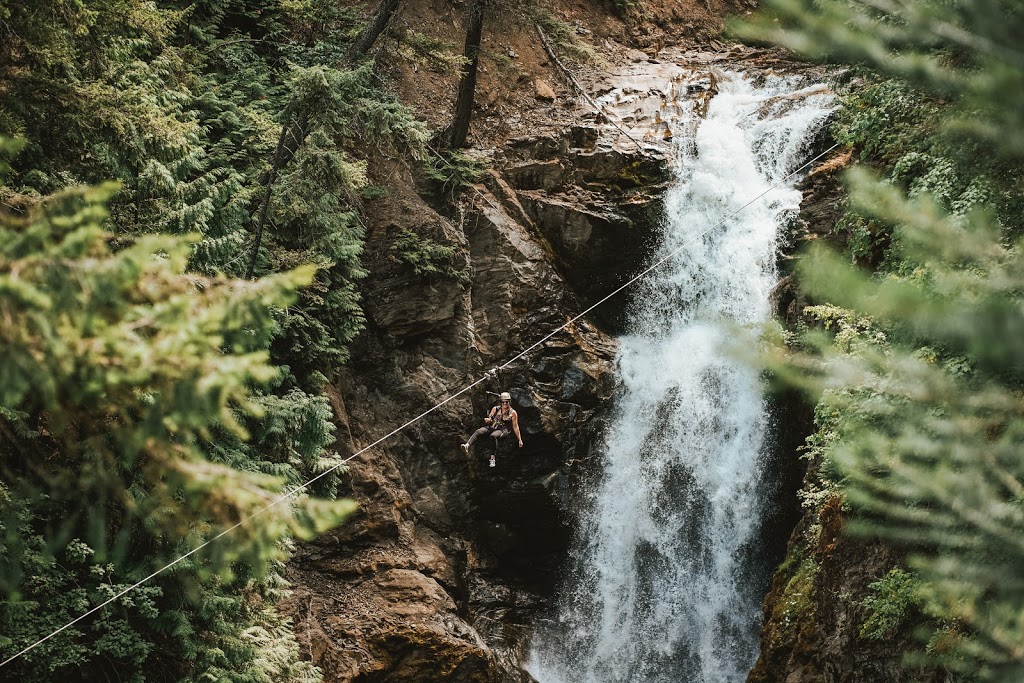 Treetop Flyers | 305 Brooke Dr, Chase, BC V0E 1M0, Canada | Phone: (866) 343-6761