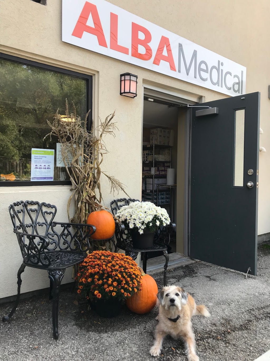 Alba Medical Inc | lower back, 1701 Lakeshore Rd W, Mississauga, ON L5J 1J4, Canada | Phone: (905) 855-9420