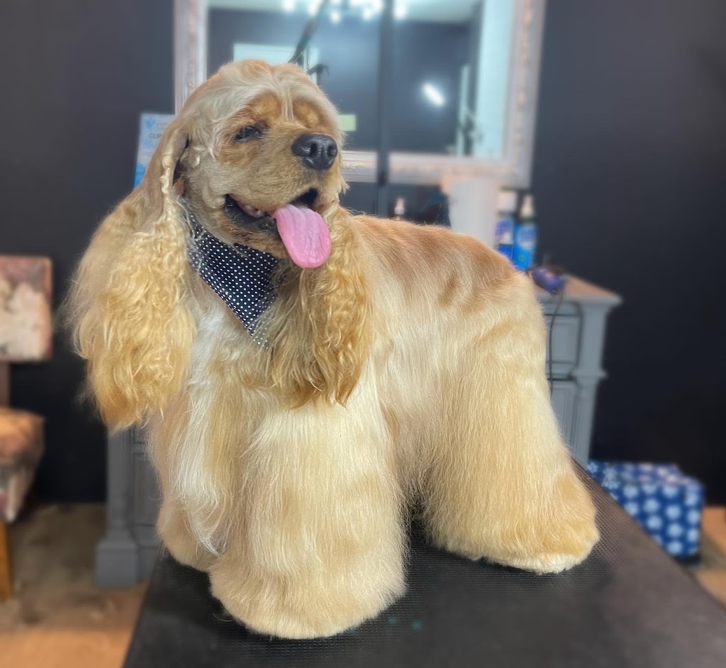 Silk & Bone Dog Grooming | 8010 Coleman St, Mission, BC V2V 6R5, Canada | Phone: (604) 908-9395