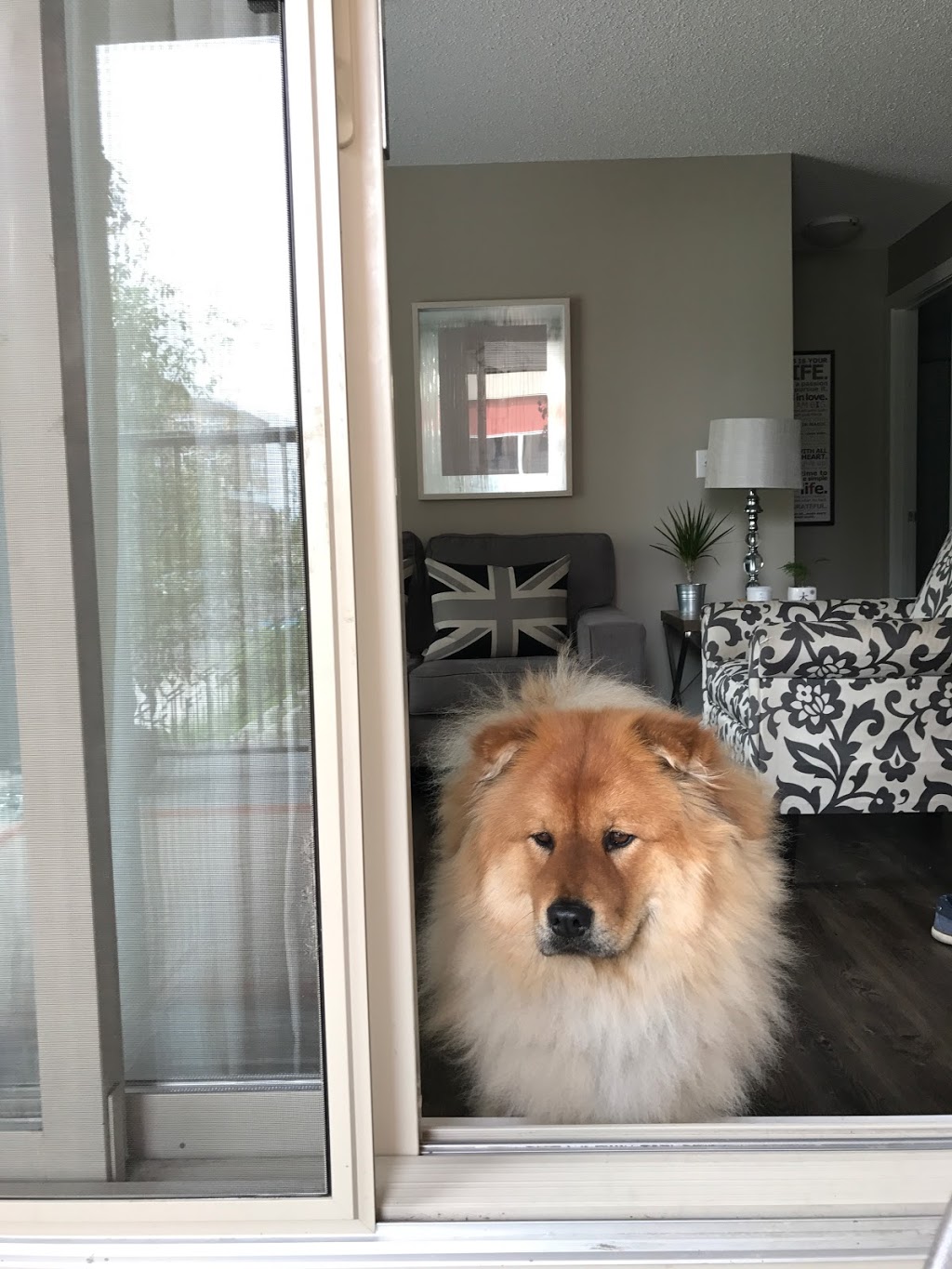 Pet Valu | 505 Main St S, Airdrie, AB T4B 3K3, Canada | Phone: (403) 948-4666