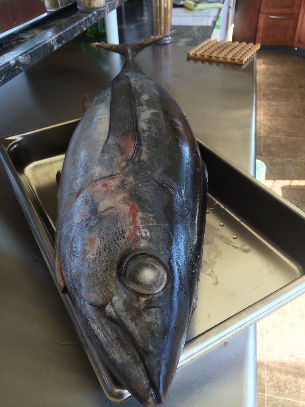 Fusion Theory | 6 Maki Rd, Nanaimo, BC V9R 6Z9, Canada | Phone: (250) 222-9955