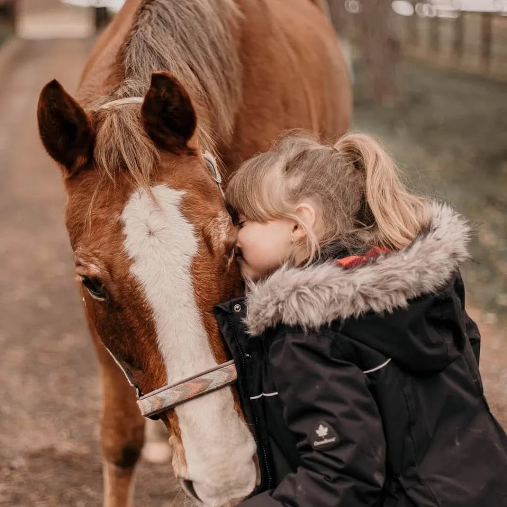 Peaceful Place Equestrian & Wellness Facility Inc. | 687399 Oxford 2, Princeton, ON N0J 1V0, Canada | Phone: (226) 388-4225