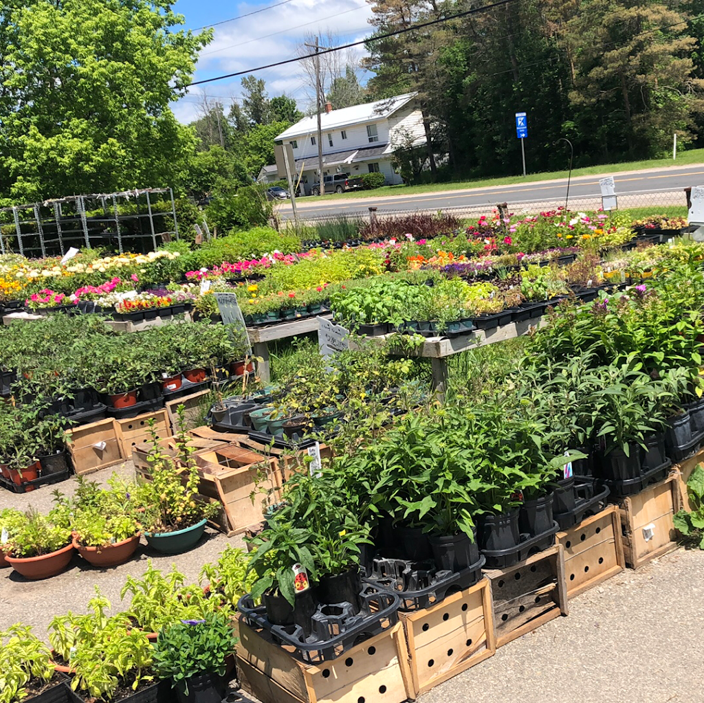 Garden Fresh Fruit Market | 12816 16 County Road, Severn, ON L0K 2C0, Canada | Phone: (705) 686-3110