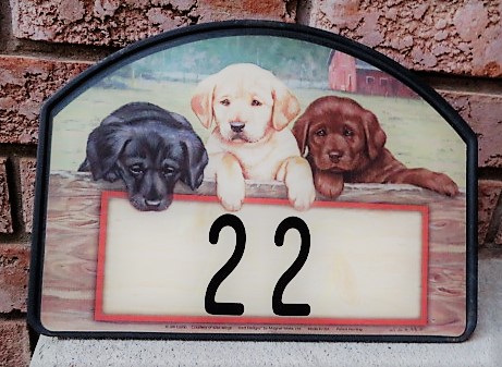Confident Canines - Puppy Imprint Training Service | 22 Hidden Valley Rd, Blenheim, ON N0P 1A0, Canada | Phone: (226) 494-7776