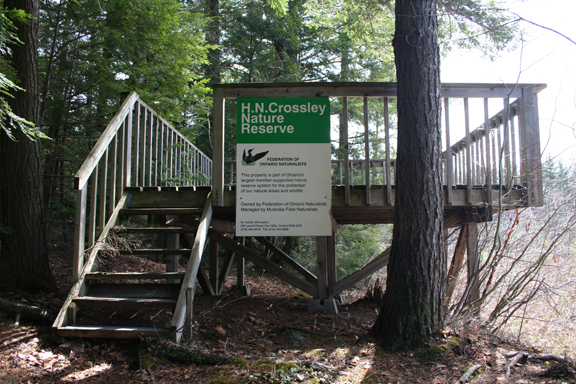 H.N. Crossley Nature Reserve | Miko Ln, Rosseau, ON P0C 1J0, Canada | Phone: (800) 440-2366