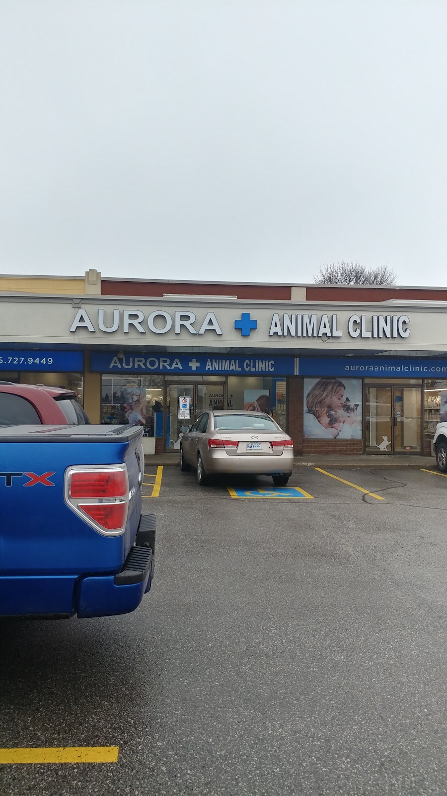 Aurora Animal Clinic | 263 Edward St, Aurora, ON L4G 3M7, Canada | Phone: (905) 727-9449